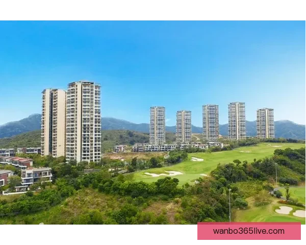 万博体育官网深度解析：探索其在全球体育产业中的影响力与发展前景
